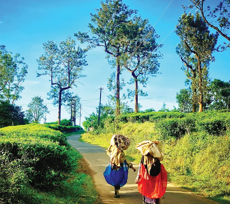 Winsome Wayanad